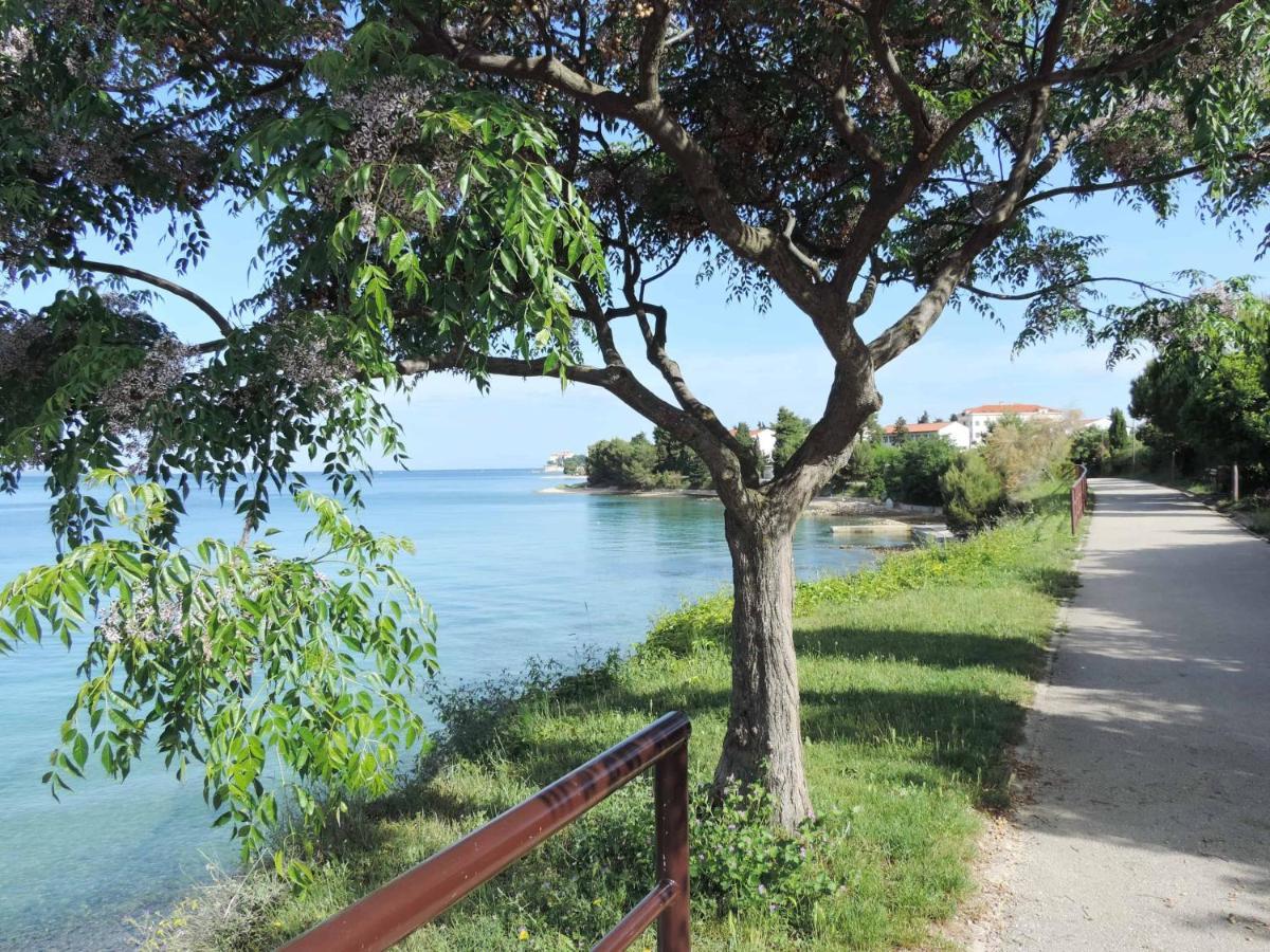 Apartment Mila Ζαντάρ Εξωτερικό φωτογραφία